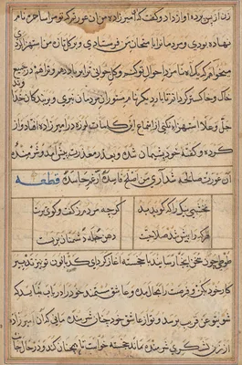 Page from Tales of a Parrot (Tuti-nama): text page