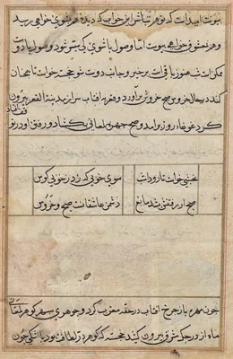 Page from Tales of a Parrot (Tuti-nama): text page