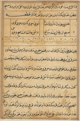 Page from Tales of a Parrot (Tuti-nama): text page