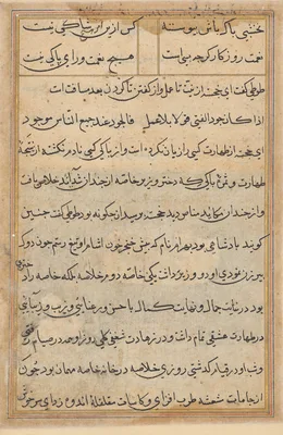 Page from Tales of a Parrot (Tuti-nama): text page