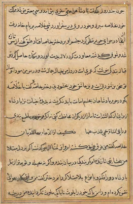 Page from Tales of a Parrot (Tuti-nama): text page