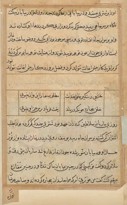 Page from Tales of a Parrot (Tuti-nama): text page