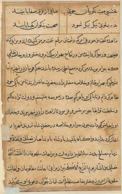 Page from Tales of a Parrot (Tuti-nama): text page