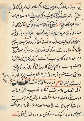 Page from Tales of a Parrot (Tuti-nama): text page