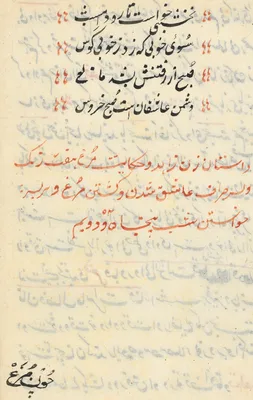 Page from Tales of a Parrot (Tuti-nama): text page