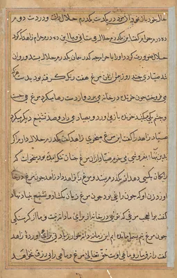Page from Tales of a Parrot (Tuti-nama): text page