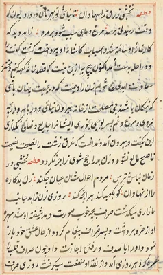Page from Tales of a Parrot (Tuti-nama): text page