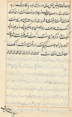 Page from Tales of a Parrot (Tuti-nama): text page
