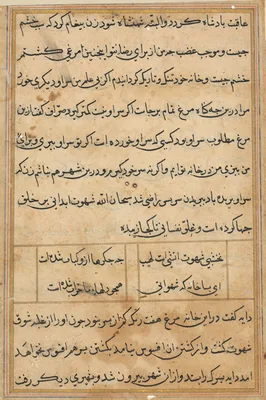 Page from Tales of a Parrot (Tuti-nama): text page