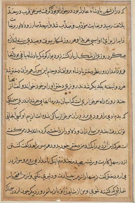 Page from Tales of a Parrot (Tuti-nama): text page