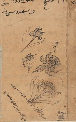 Page from Tales of a Parrot (Tuti-nama): text page
