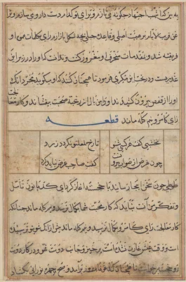 Page from Tales of a Parrot (Tuti-nama): text page