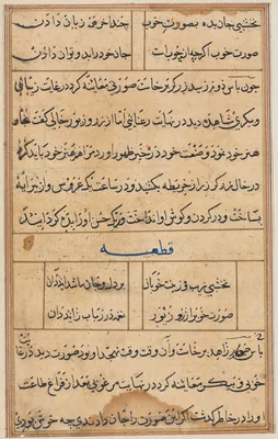 Page from Tales of a Parrot (Tuti-nama): text page
