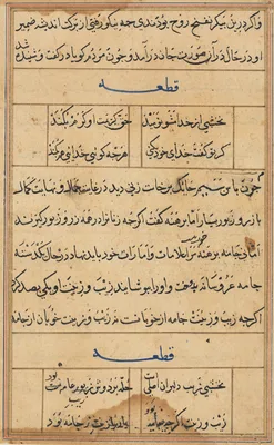 Page from Tales of a Parrot (Tuti-nama): text page