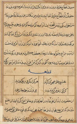 Page from Tales of a Parrot (Tuti-nama): text page