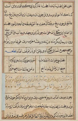 Page from Tales of a Parrot (Tuti-nama): text page