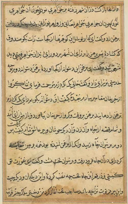 Page from Tales of a Parrot (Tuti-nama): text page