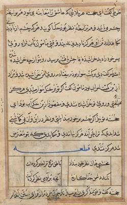 Page from Tales of a Parrot (Tuti-nama): text page