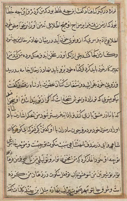 Page from Tales of a Parrot (Tuti-nama): text page