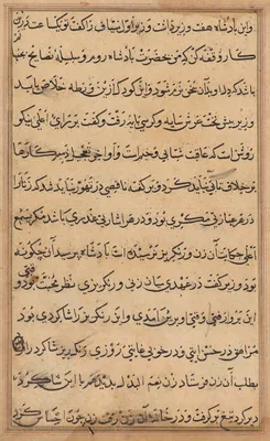 Page from Tales of a Parrot (Tuti-nama): text page
