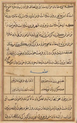 Page from Tales of a Parrot (Tuti-nama): text page