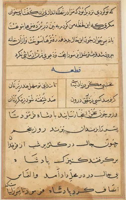 Page from Tales of a Parrot (Tuti-nama): text page
