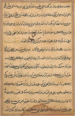 Page from Tales of a Parrot (Tuti-nama): text page