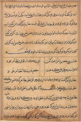 Page from Tales of a Parrot (Tuti-nama): text page