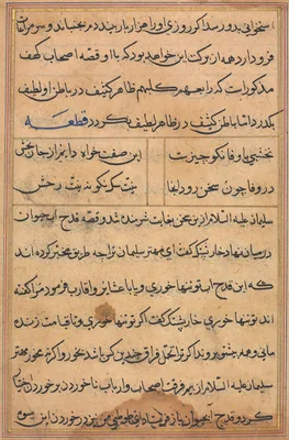 Page from Tales of a Parrot (Tuti-nama): text page