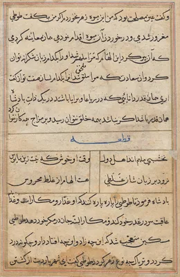 Page from Tales of a Parrot (Tuti-nama): text page