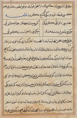 Page from Tales of a Parrot (Tuti-nama): text page