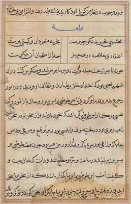 Page from Tales of a Parrot (Tuti-nama): text page