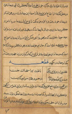 Page from Tales of a Parrot (Tuti-nama): text page