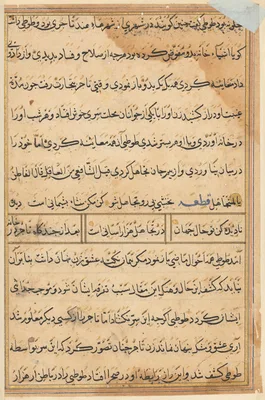 Page from Tales of a Parrot (Tuti-nama): text page