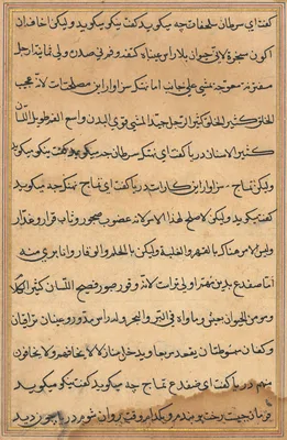 Page from Tales of a Parrot (Tuti-nama): text page