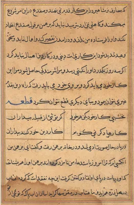 Page from Tales of a Parrot (Tuti-nama): text page