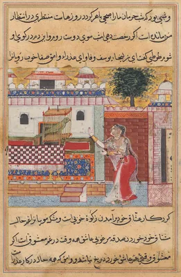 The Parrot Addresses Khujasta at the Beginning of the Twelfth Night, from a Tuti-nama (Tales of a Parrot) — Tara 1