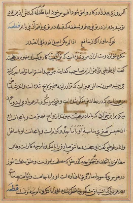 Page from Tales of a Parrot (Tuti-nama): text page