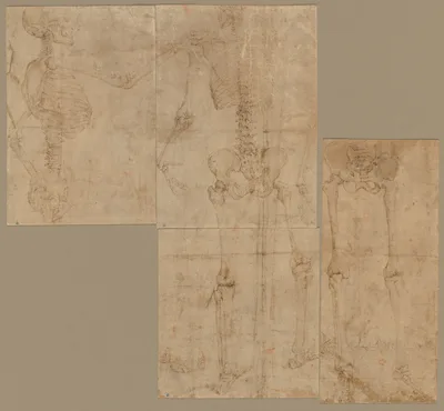 Skeleton — Battista Franco Veneziano