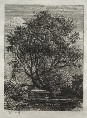 The Willow — Samuel Palmer