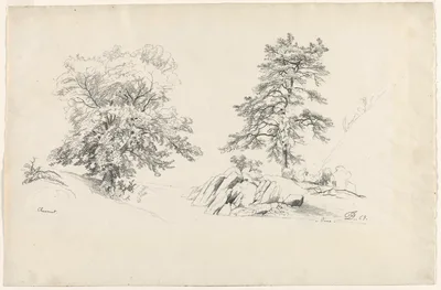 Chestnut and Pine — David Johnson
