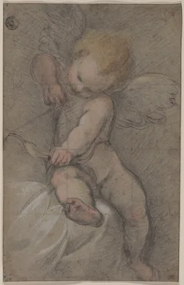 Cupid Drawing His Bow — Federico Barocci