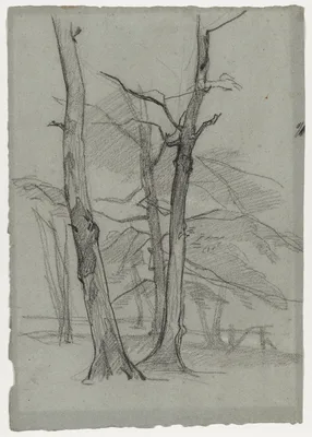 Landscape Study with Trees — Thomas Couture