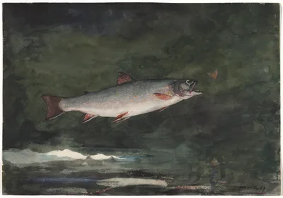 Leaping Trout — Winslow Homer