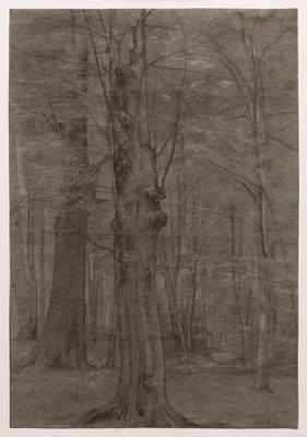 Trees — Leopold Bode