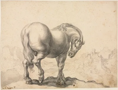 Study of a Stallion — Giovanni Battista Foggini