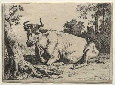 The cow lying down near a tree — Paulus Potter