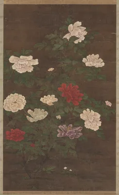 Peonies