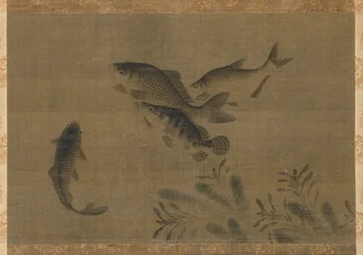 Fish