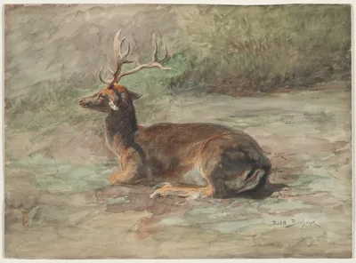 Stag Lying Down — Rosa Bonheur